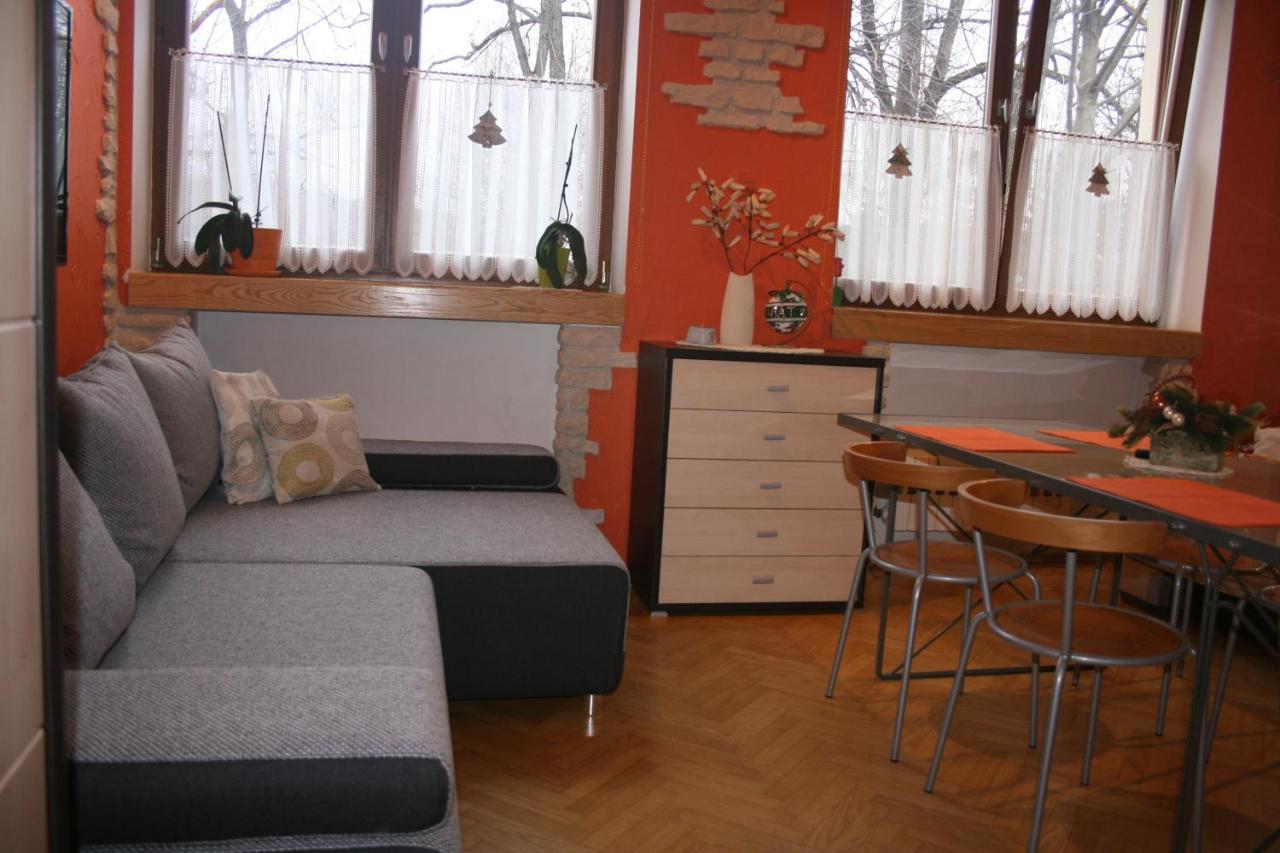 Apartamenty Paradis ザコパネ エクステリア 写真